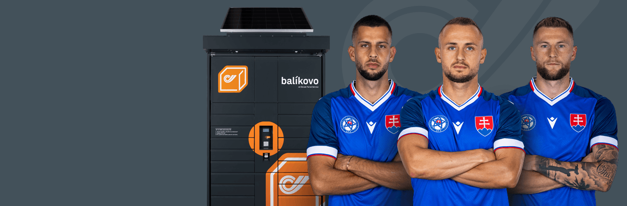 Titulný obrázok - VŠETKO PRE FANÚŠIKOV SLOVENSKÝCH SOKOLOV